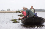 Nationaal Park Weerribben-Wieden