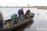 Nationaal Park Weerribben-Wieden