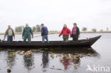 Nationaal Park Weerribben-Wieden