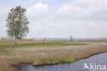 Nationaal Park Weerribben-Wieden