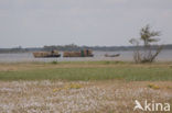 Nationaal Park Weerribben-Wieden