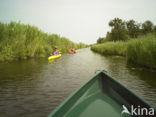 Nationaal Park Weerribben-Wieden