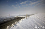 Noord Friesland Buitendijks