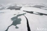 Arctic Ocean
