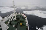 Arctic Ocean