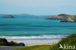 Pembrokeshire Coast National Park