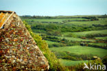 Pembrokeshire Coast National Park