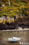 Pembrokeshire Coast National Park