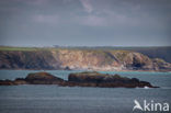 Pembrokeshire Coast National Park