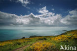 Pembrokeshire Coast National Park