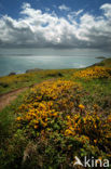 Pembrokeshire Coast National Park