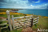 Pembrokeshire Coast National Park