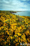 Pembrokeshire Coast National Park