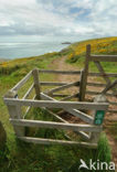 Pembrokeshire Coast National Park