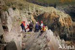 Pembrokeshire Coast National Park