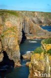 Pembrokeshire Coast National Park