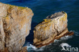 Pembrokeshire Coast National Park