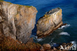 Pembrokeshire Coast National Park