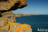 Pembrokeshire Coast National Park