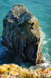 Pembrokeshire Coast National Park