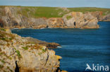 Pembrokeshire Coast National Park