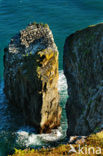 Pembrokeshire Coast National Park