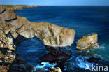 Pembrokeshire Coast National Park