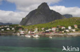 Reine