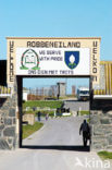 Robbeneiland