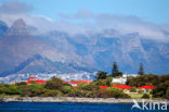 Robben Island