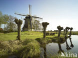 Molen De Reiger