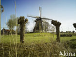 Molen De Reiger