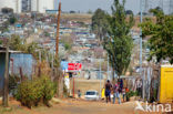 Soweto