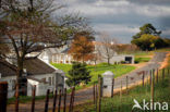 Stellenbosch