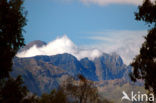 Stellenbosch