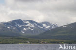 Straumsfjorden