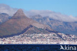 Tafelberg