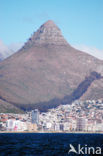 Tafelberg