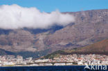 Tafelberg