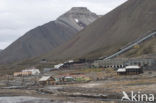 Former Russian settlement