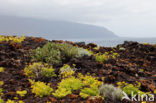 El Hierro