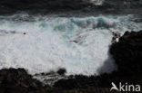El Hierro