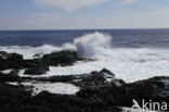 La Palma