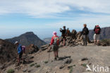 Parque Nacional de la Caldera de Taburiente