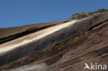 Pico del Teide National Park