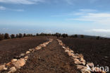 Pico del Teide National Park