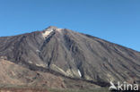 Parque Nacional de Pico del Teide