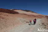 Pico del Teide National Park