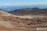 Pico del Teide National Park