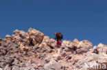 Parque Nacional de Pico del Teide